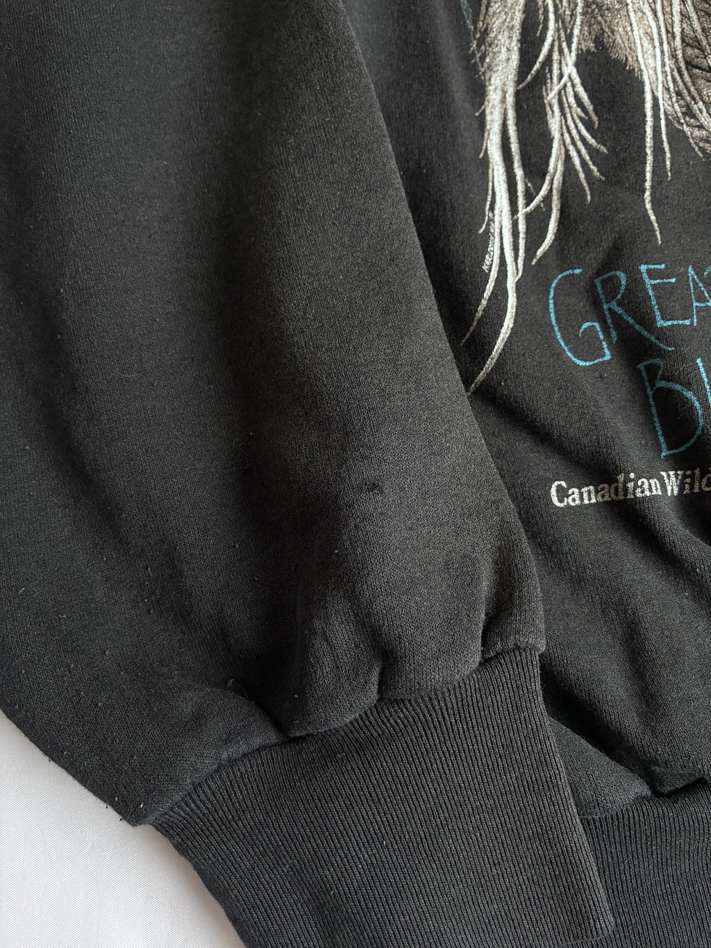 1990 Harlequin Nature Graphics "Great Blue" Art Sweat Made in Canada